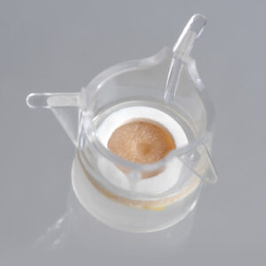 WoundSkin 11 mm, live ex vivo human skin model with a superficial circular wound for wound healing and infection studies