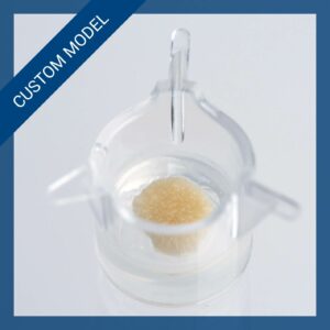 Custom NativeSkin access 8 mm - ex vivo live human skin model