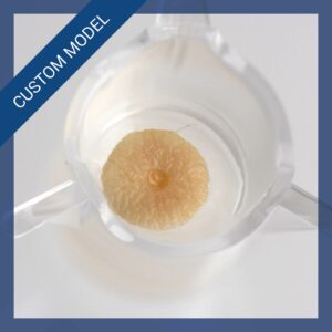 Custom WoundSkin 8 mm - ex vivo live human skin model with a circular wound