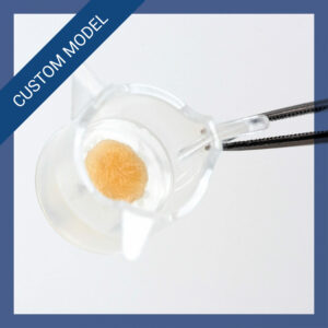 Custom Tape Stripped NativeSkin access 11 mm, ex vivo human skin model with remove stratum corneum and altered skin barrier.