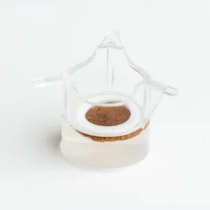 BreastSkin 11mm ex vivo human breast skin model for preclinical cosmetic and pharmaceutical testing