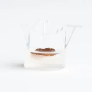BreastSkin 8mm ex vivo human breast skin model for preclinical research