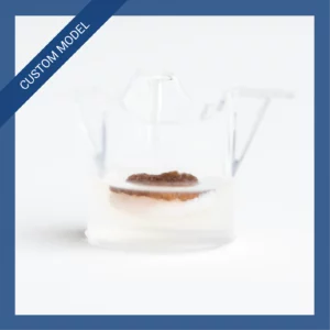 BreastSkin 8mm ex vivo human breast skin model for preclinical research